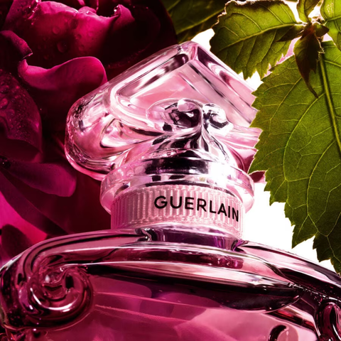 Guerlain La Petite Robe Noire Absolue Eau de Parfum Women's Perfume Spray (50ml, 100ml)