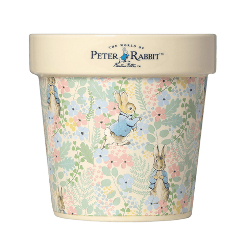 Peter Rabbit Magnolia & Bergamot Plant Pot Candle
