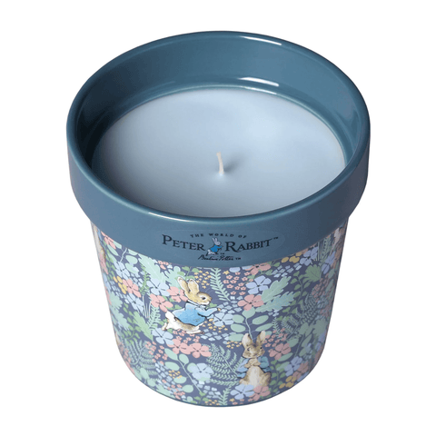Peter Rabbit Wildflower Plant Pot Candle